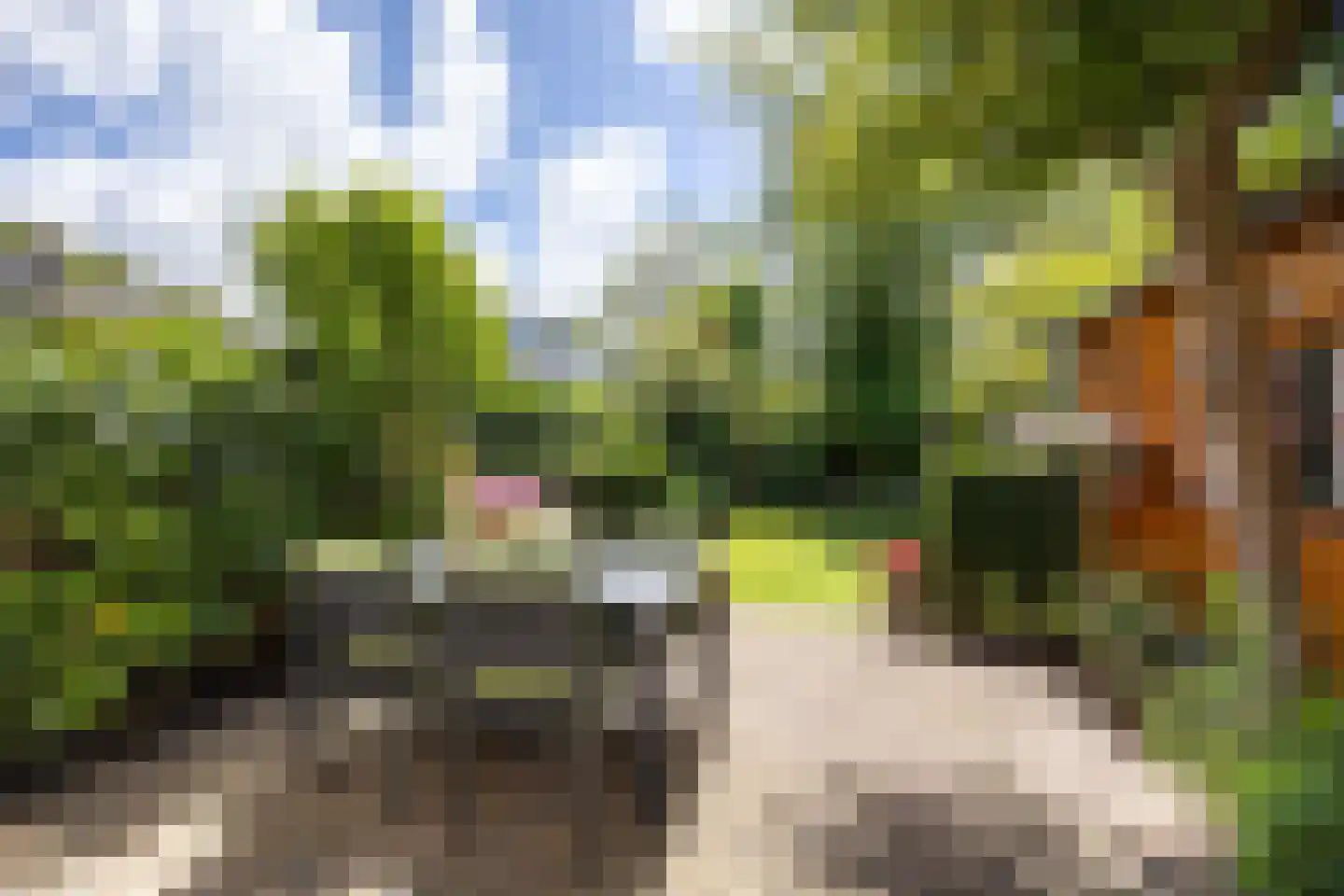 Zandvoortselaan 115 Heemstede thumbnail 13