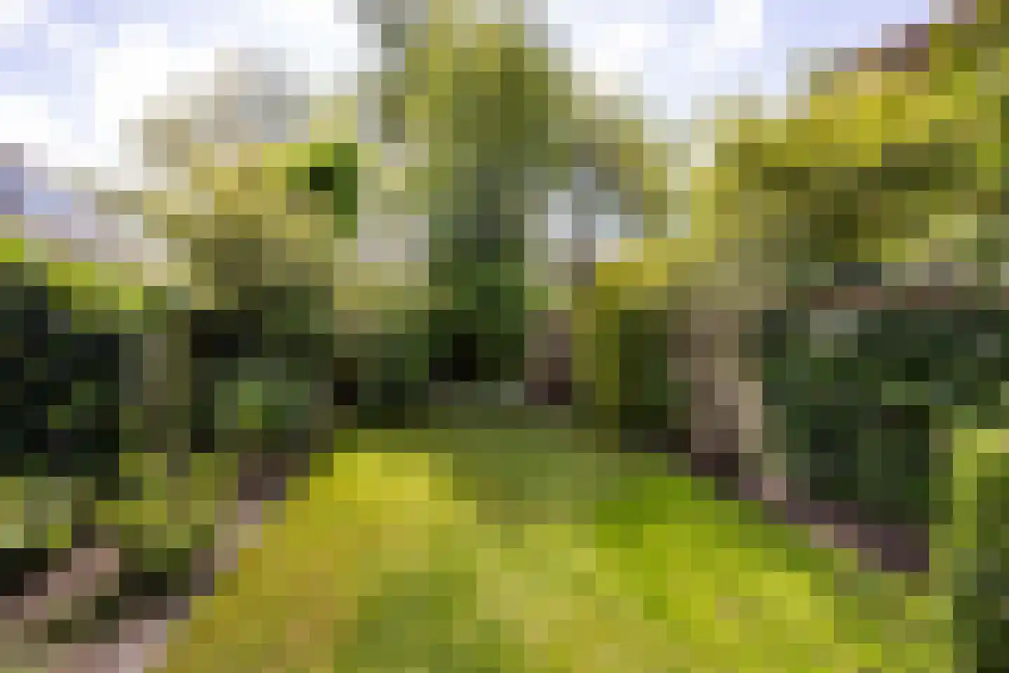 Zandvoortselaan 115 Heemstede thumbnail 14