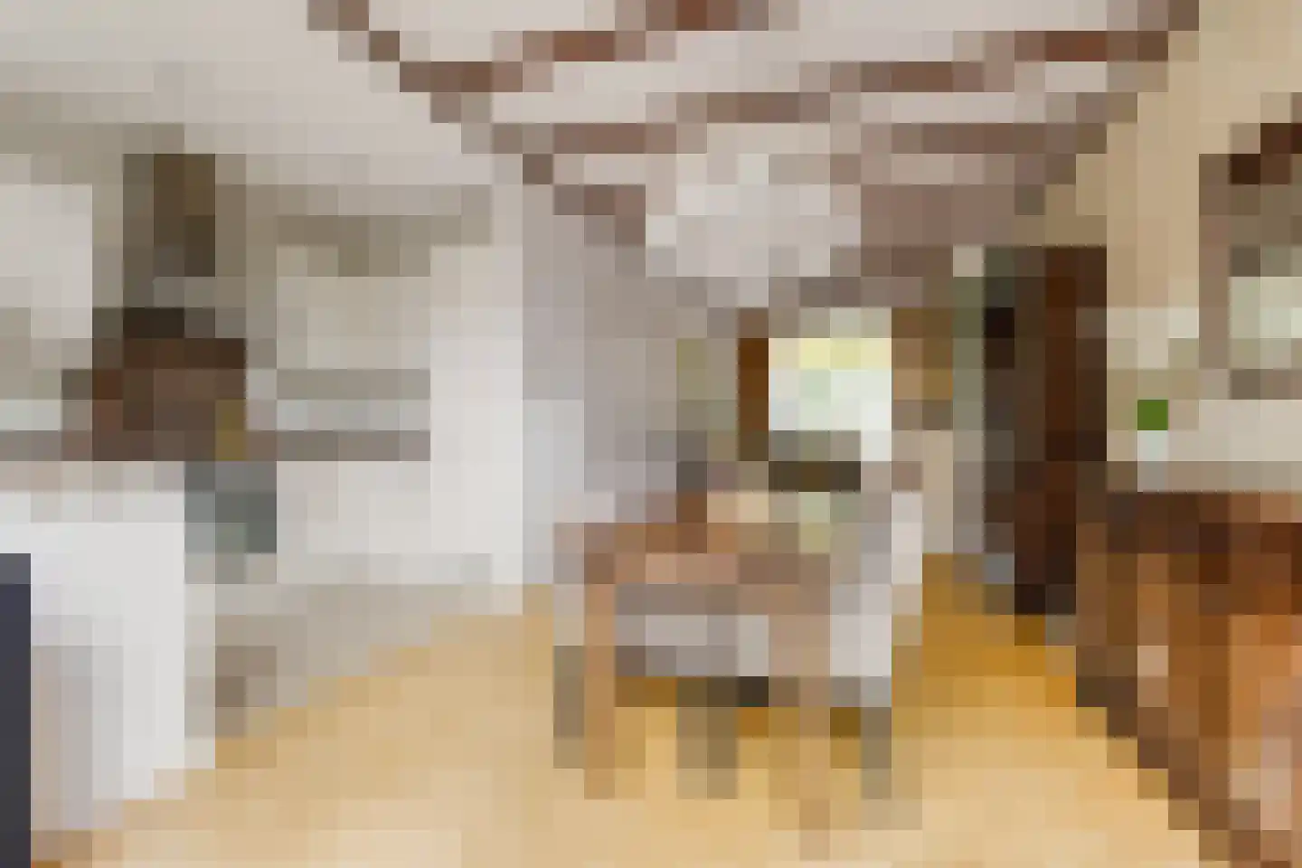 Zandvoortselaan 115 Heemstede thumbnail 4