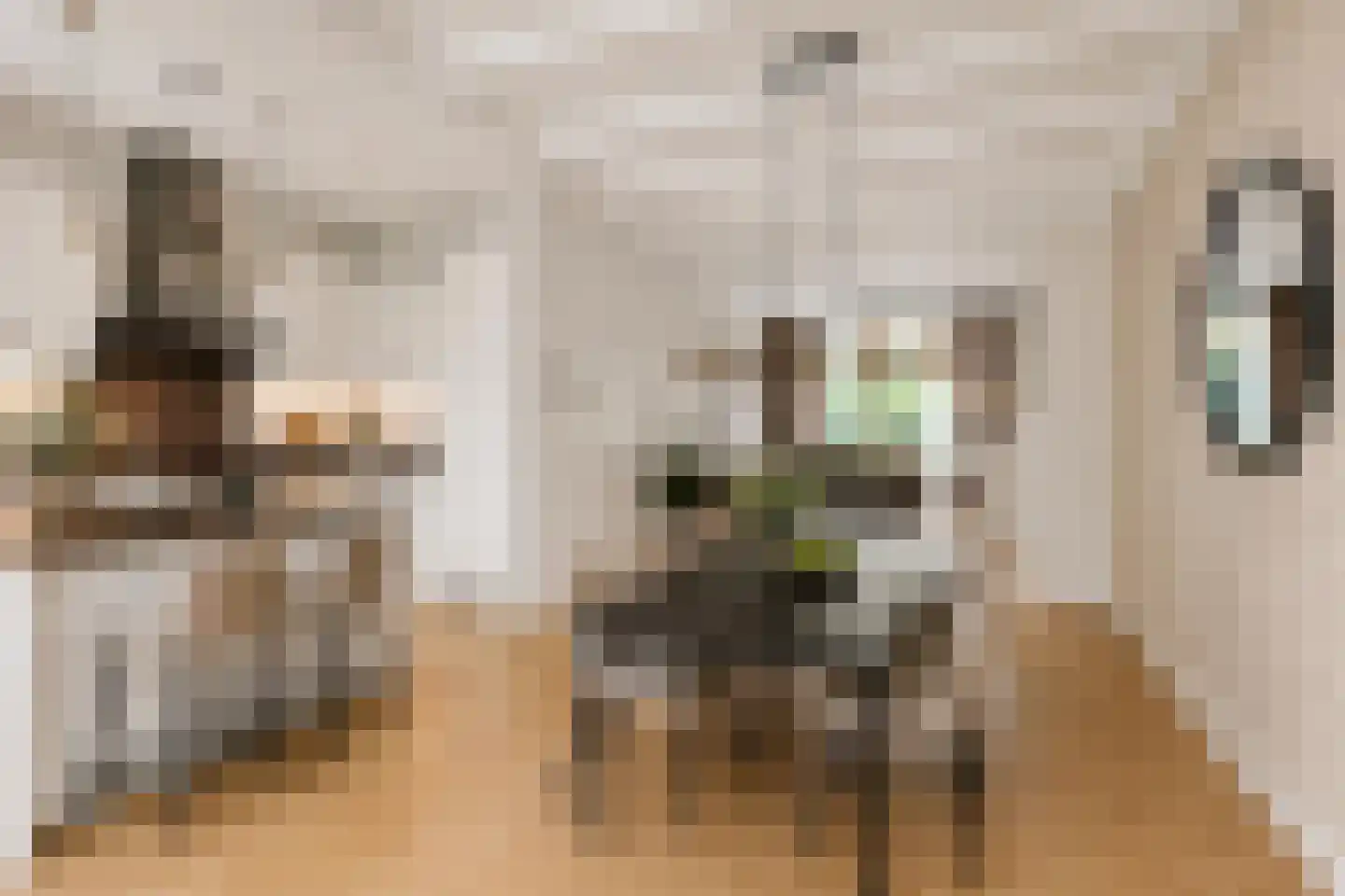 Zandvoortselaan 115 Heemstede thumbnail 5