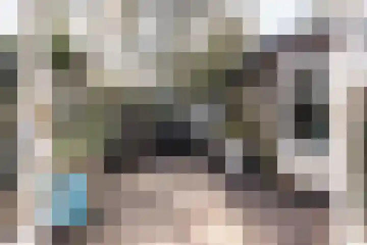 Zandvoortselaan 117 Heemstede thumbnail 13