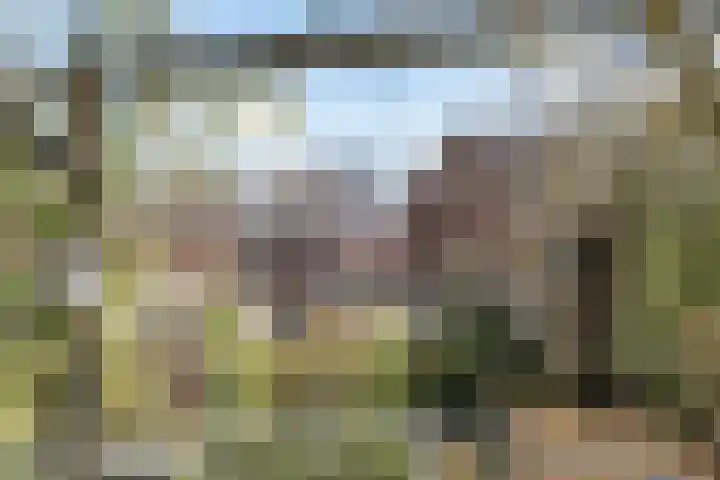 Zandvoortselaan 117 Heemstede thumbnail 26