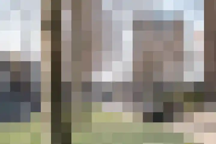 Zandvoortselaan 117 Heemstede thumbnail 28