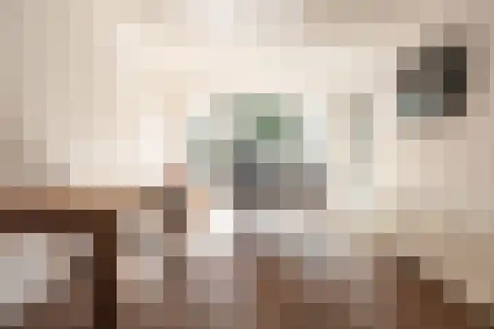 Zandvoortselaan 117 Heemstede thumbnail 6