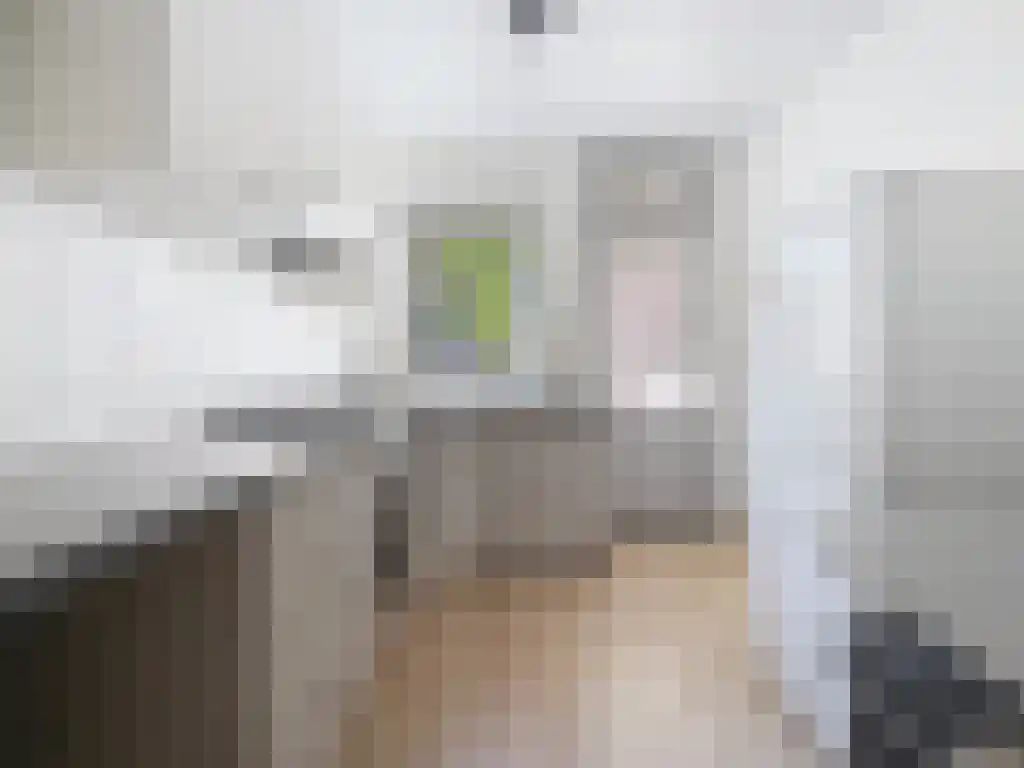 Zandvoortselaan 123 Heemstede thumbnail 4
