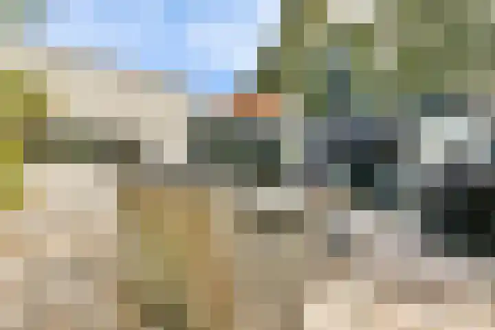 Zandvoortselaan 140 Zandvoort thumbnail 24