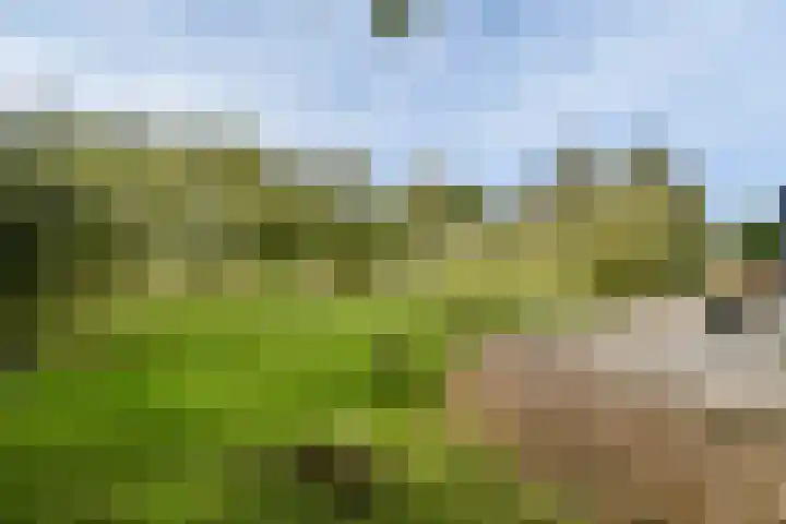 Zandvoortselaan 140 Zandvoort thumbnail 33