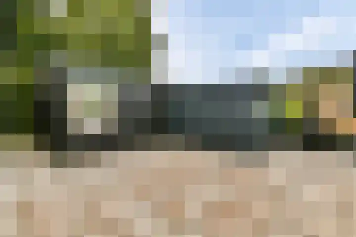 Zandvoortselaan 140 Zandvoort thumbnail 34
