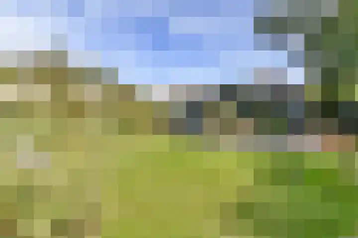 Zandvoortselaan 140 Zandvoort thumbnail 36