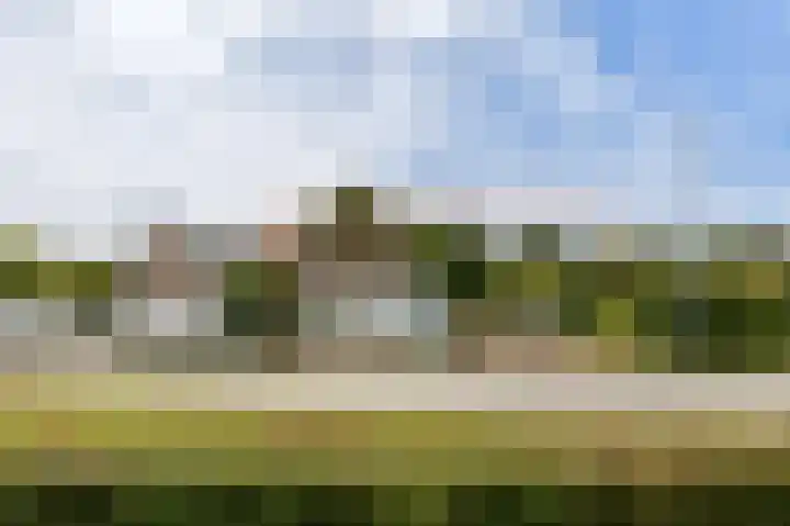 Zandvoortselaan 140 Zandvoort thumbnail 4