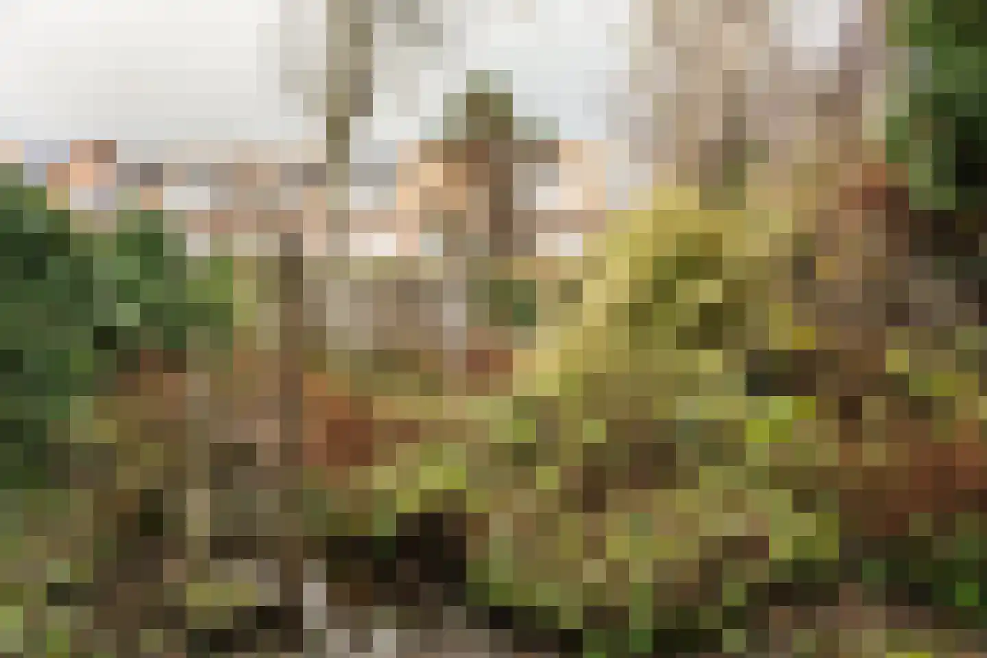 Zandvoortselaan 164 Heemstede thumbnail 13