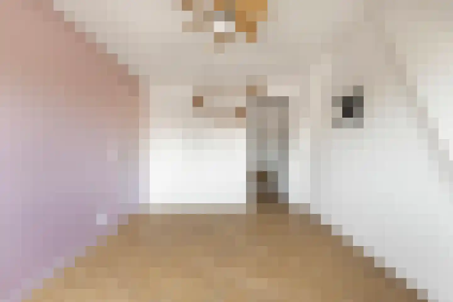 Zandvoortselaan 165 A Heemstede thumbnail 24