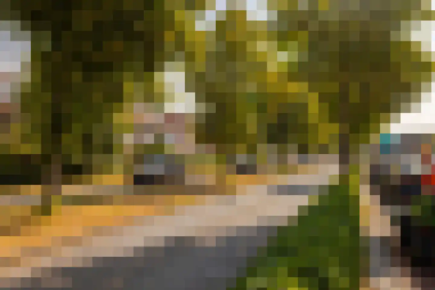 Zandvoortselaan 173 A Heemstede thumbnail 32