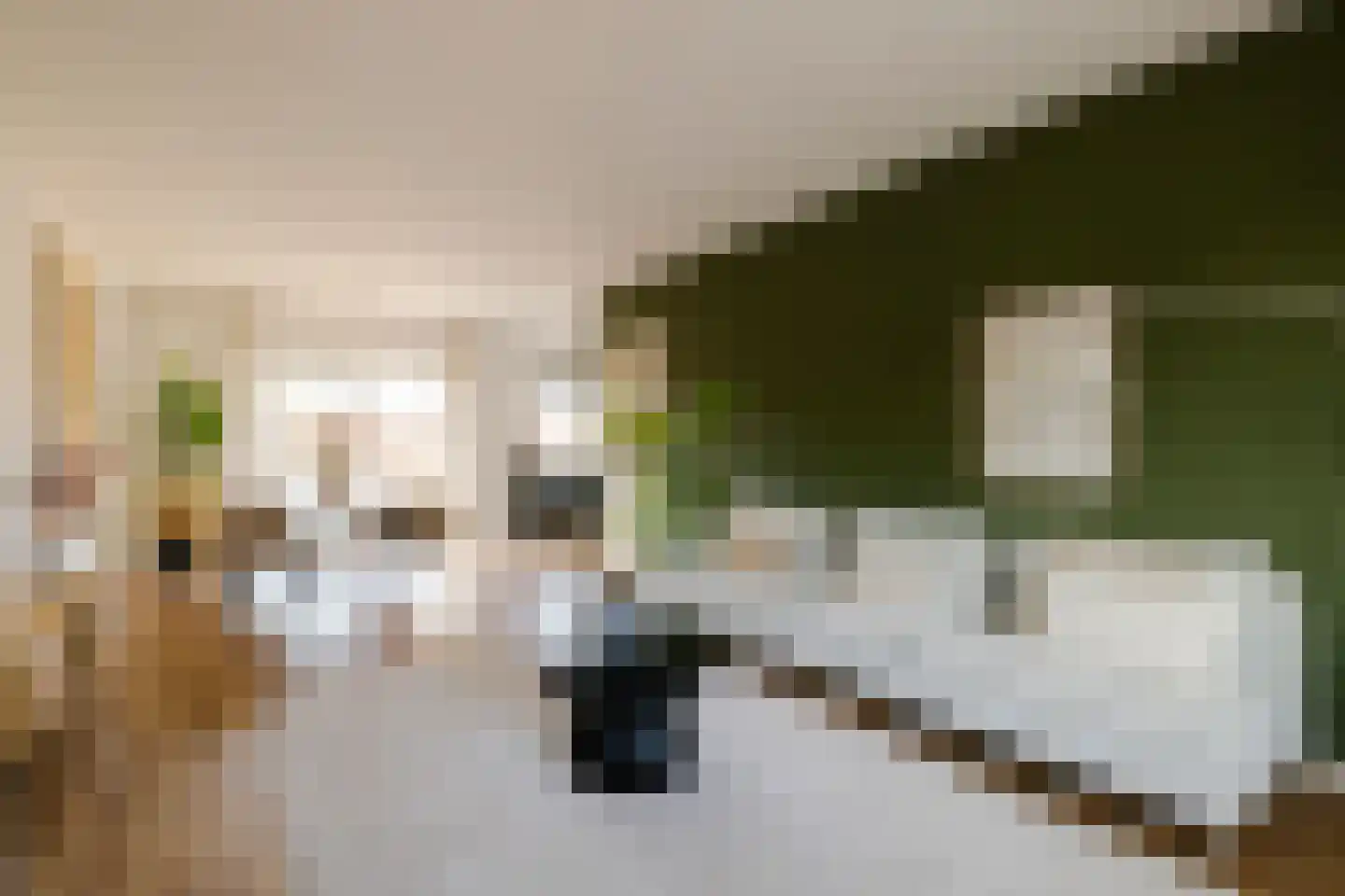 Zandvoortselaan 173 A Heemstede thumbnail 7
