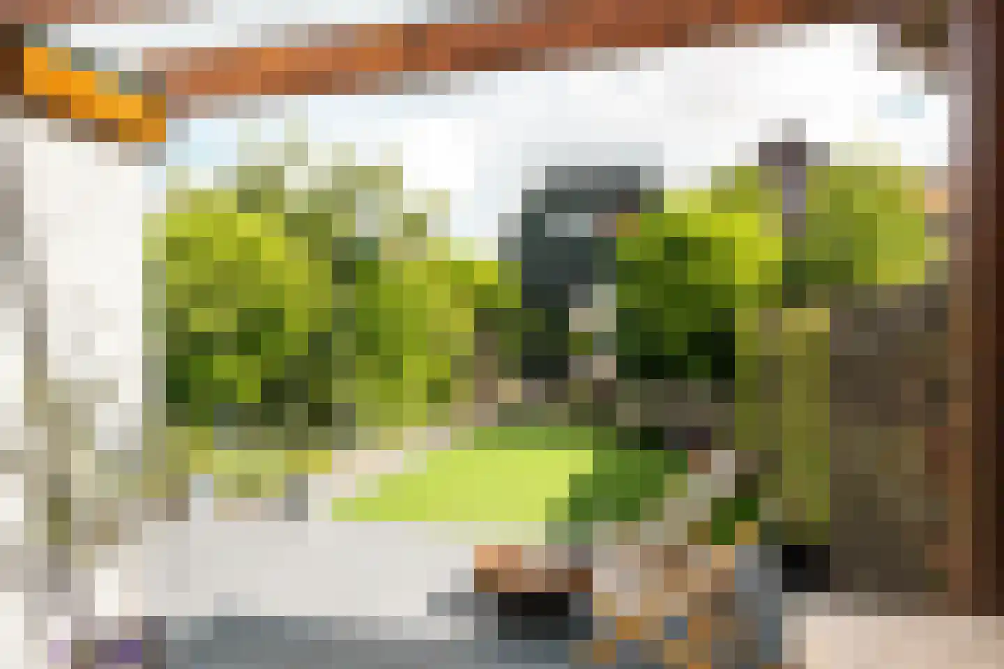 Zandvoortselaan 190 Heemstede thumbnail 21