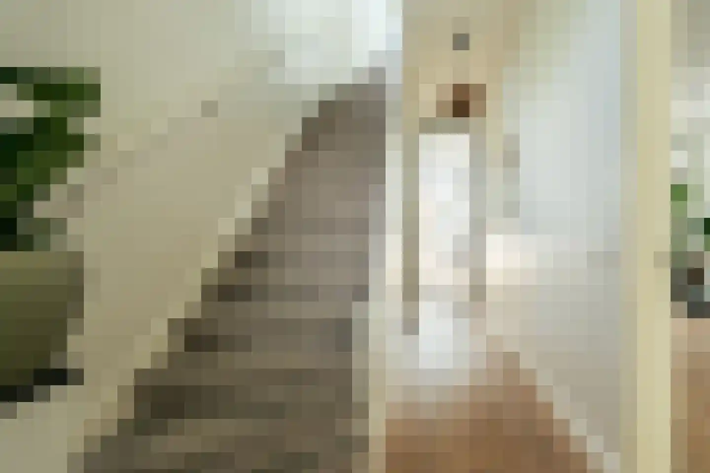 Zandvoortselaan 190 Heemstede thumbnail 7