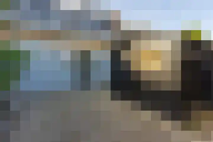 Zandvoortselaan 2 B Heemstede thumbnail 17