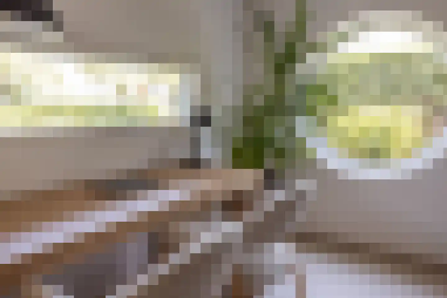 Zandvoortselaan 210 Bentveld thumbnail 13