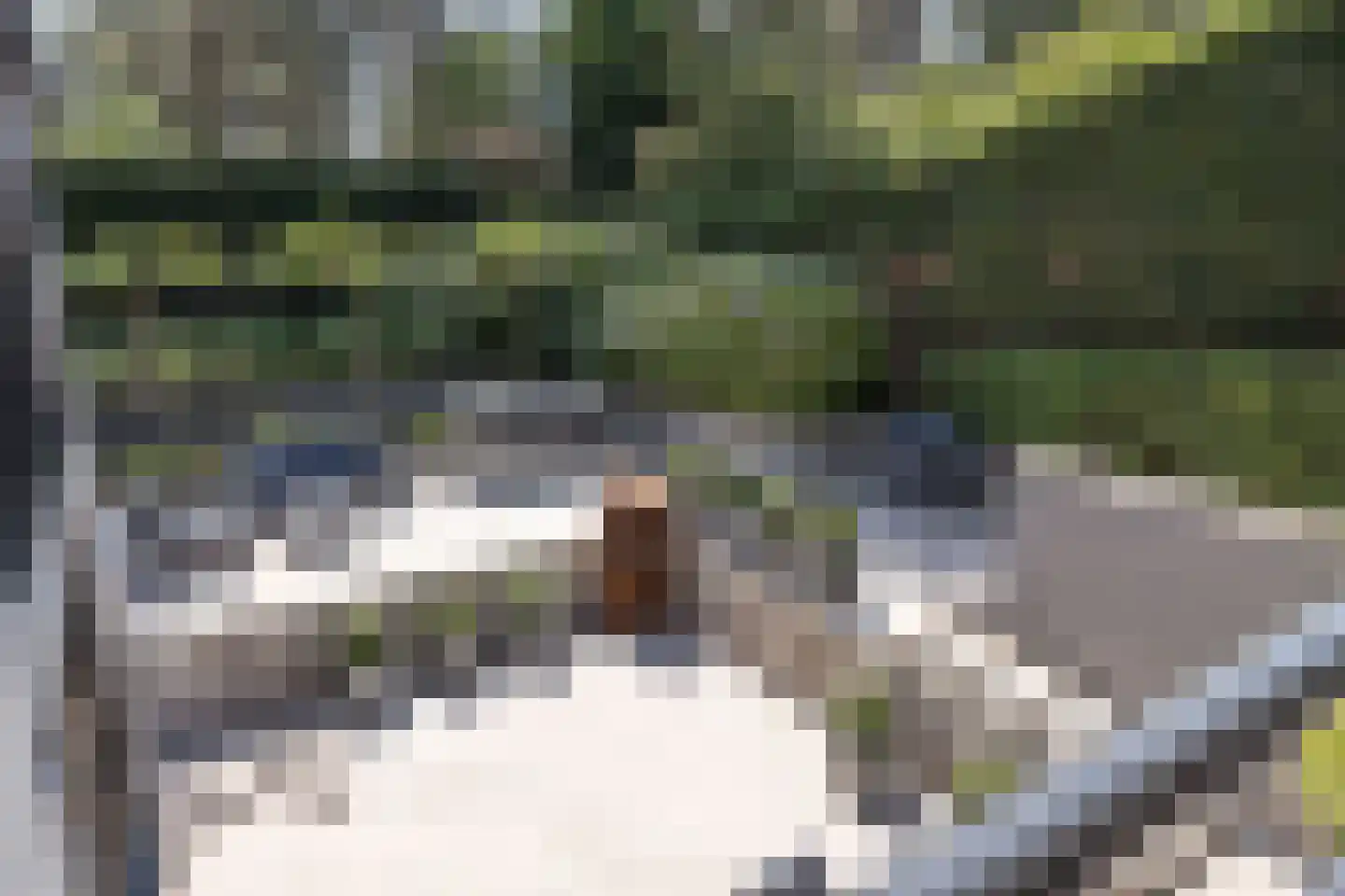 Zandvoortselaan 210 Bentveld thumbnail 23