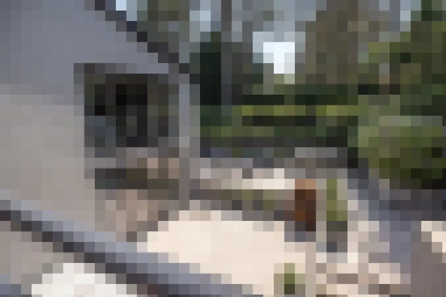 Zandvoortselaan 210 Bentveld thumbnail 24