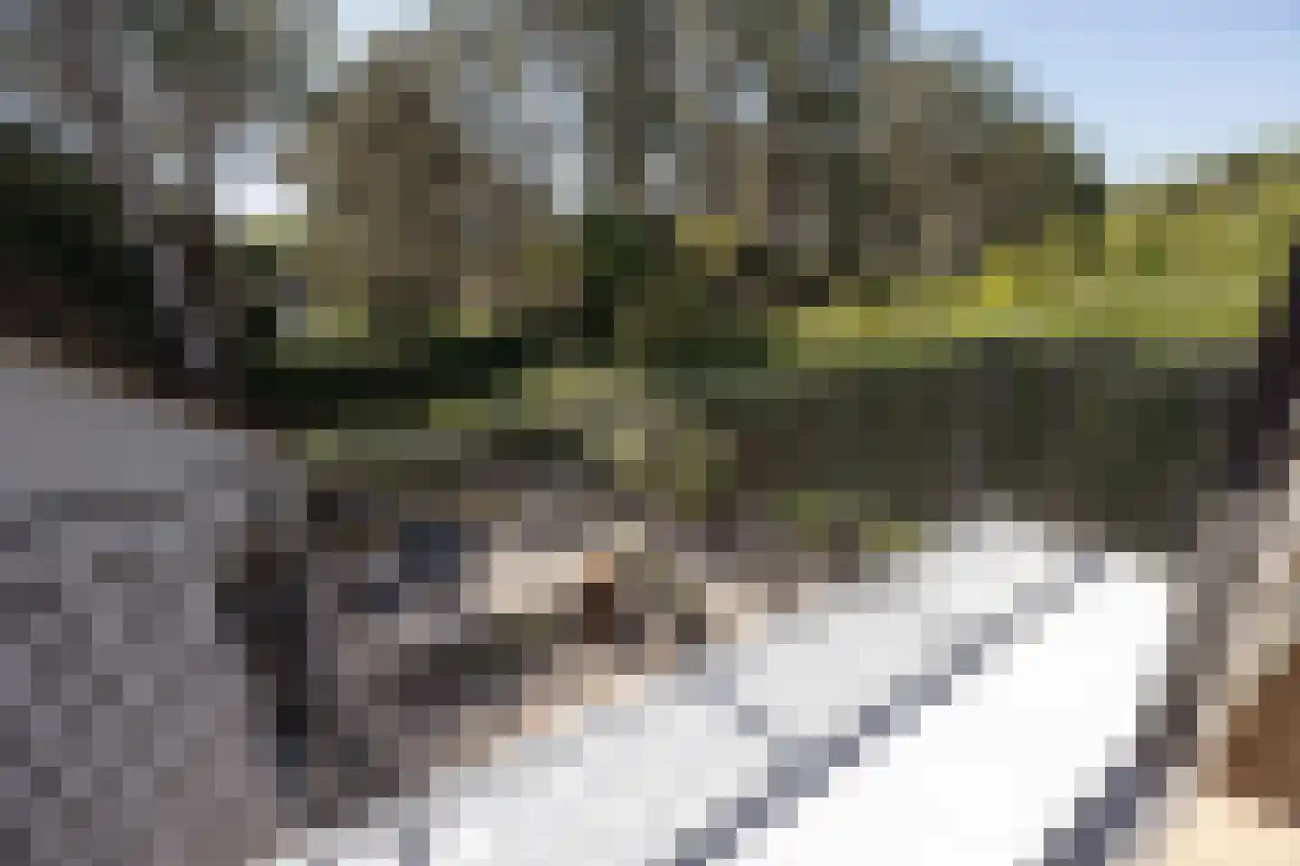 Zandvoortselaan 210 Bentveld thumbnail 36
