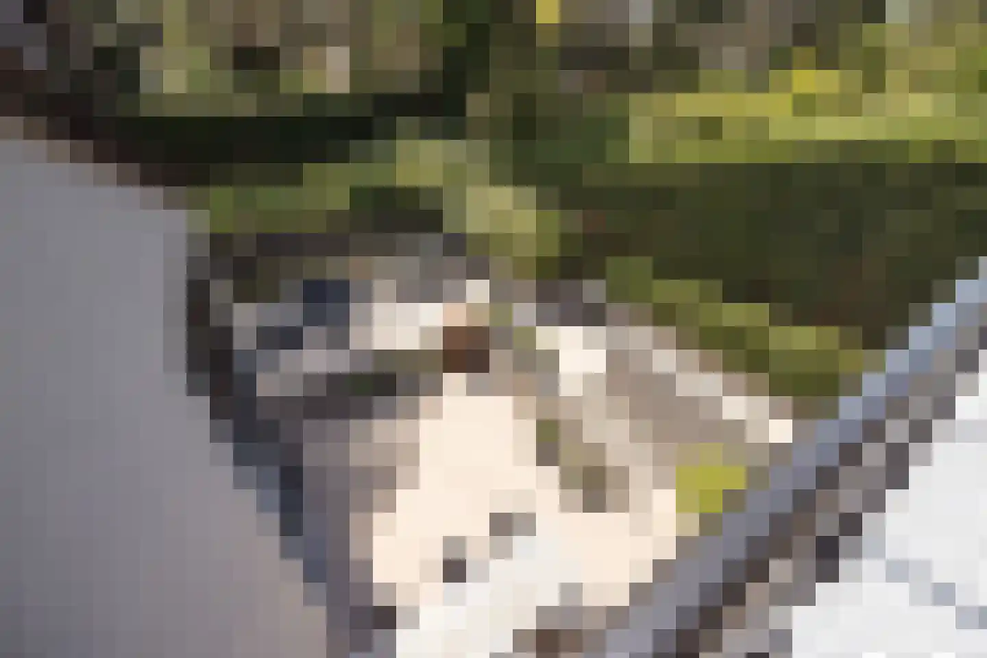 Zandvoortselaan 210 Bentveld thumbnail 37