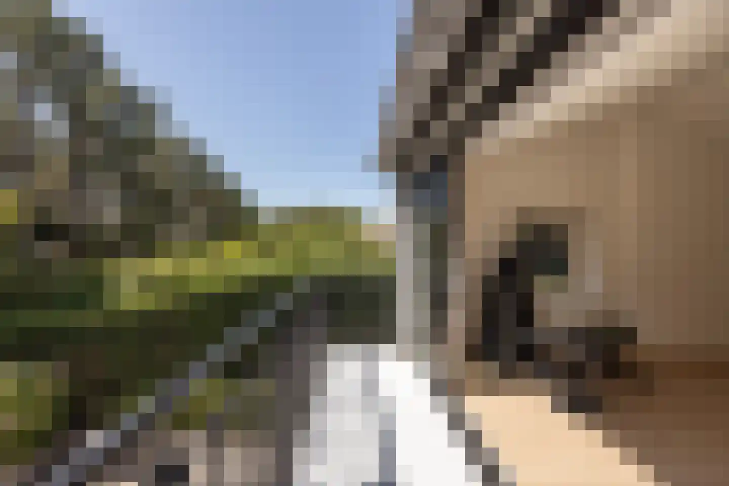Zandvoortselaan 210 Bentveld thumbnail 38