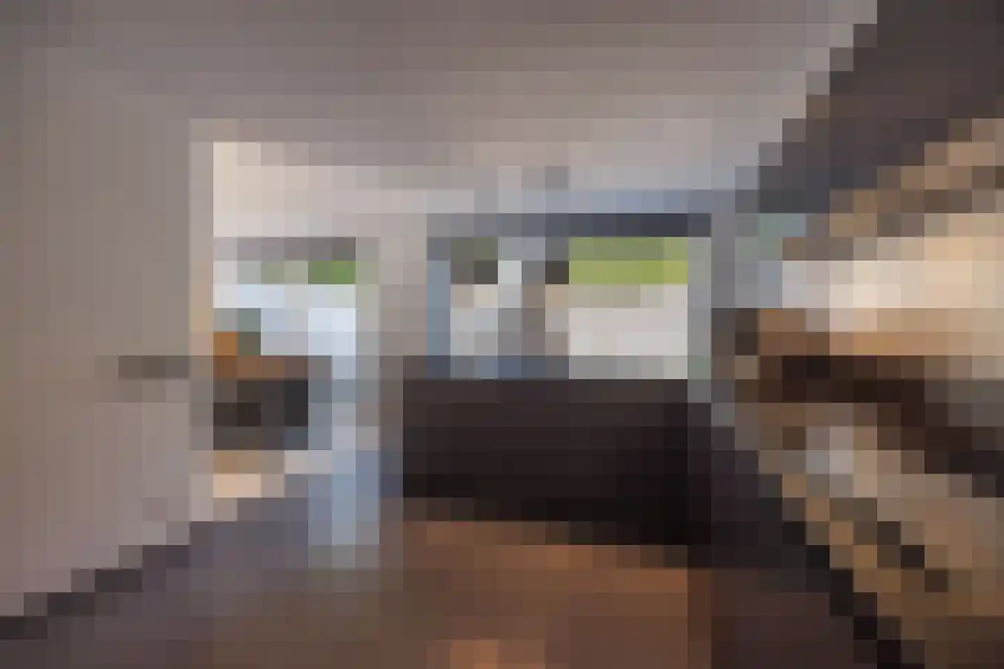 Zandvoortselaan 210 Bentveld thumbnail 55