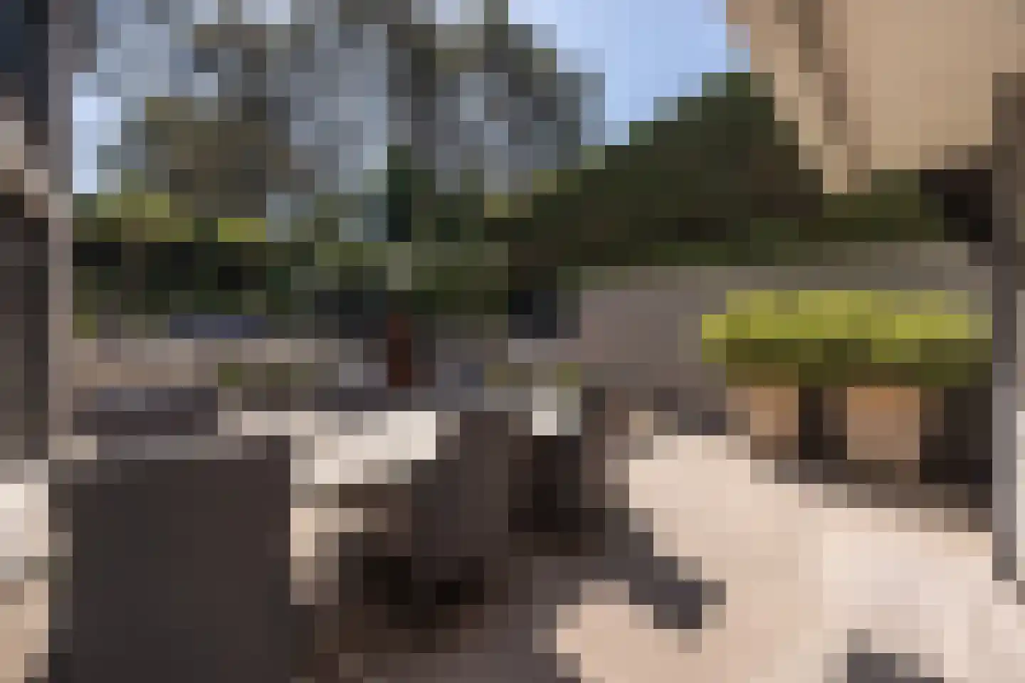 Zandvoortselaan 210 Bentveld thumbnail 61