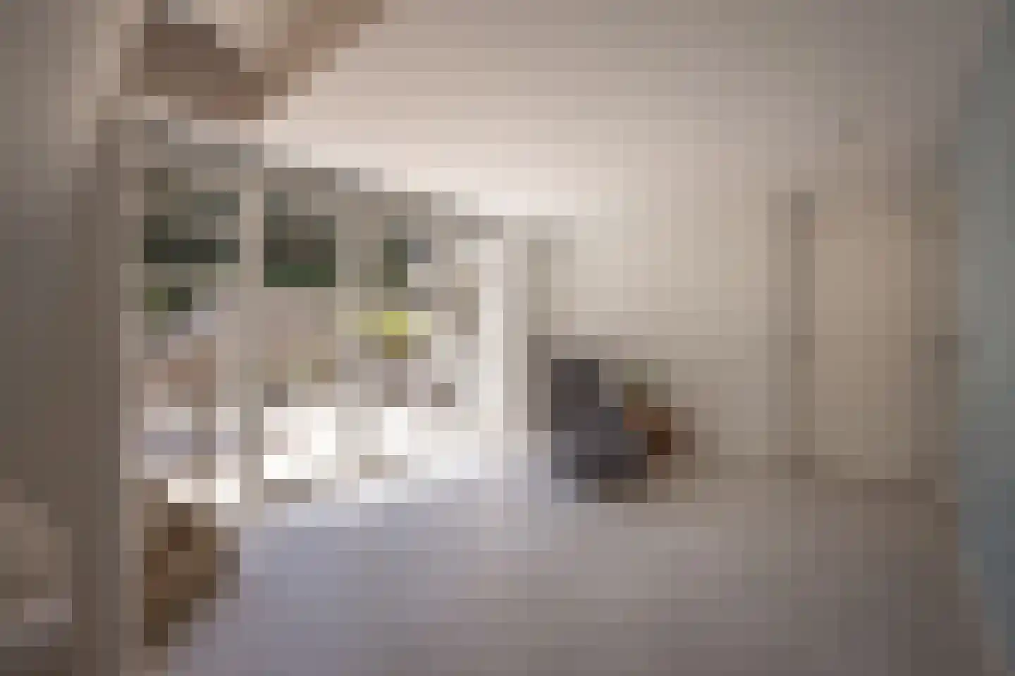 Zandvoortselaan 210 Bentveld thumbnail 67