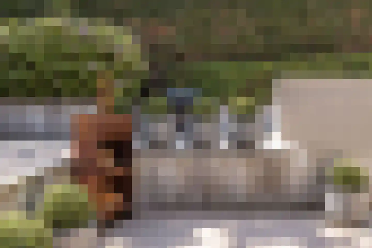 Zandvoortselaan 210 Bentveld thumbnail 69
