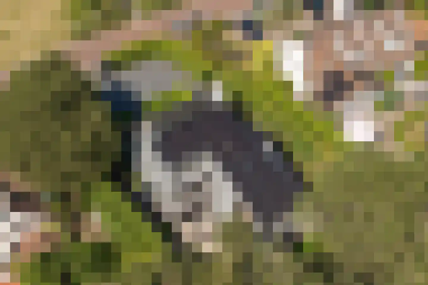 Zandvoortselaan 210 Bentveld thumbnail 7