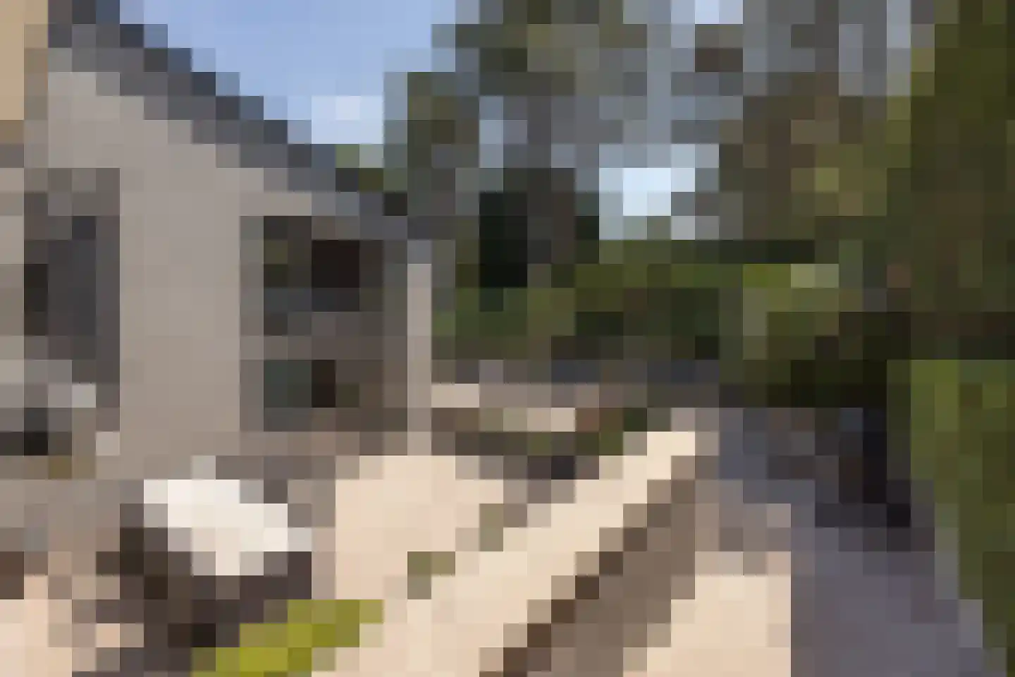 Zandvoortselaan 210 Bentveld thumbnail 75
