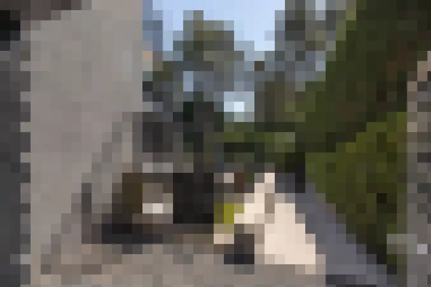 Zandvoortselaan 210 Bentveld thumbnail 76