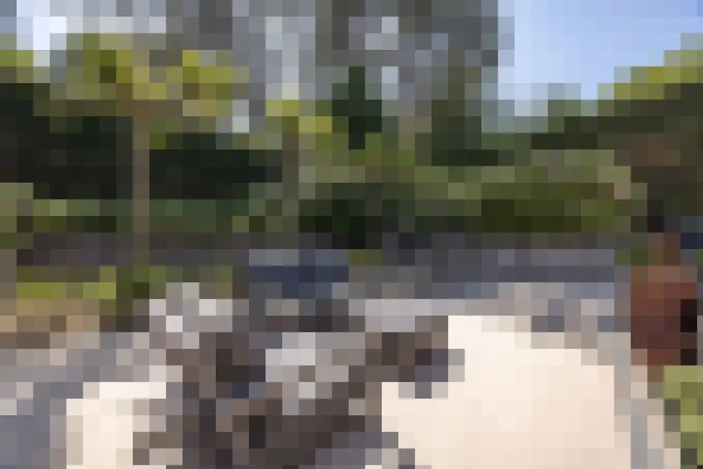 Zandvoortselaan 210 Bentveld thumbnail 78
