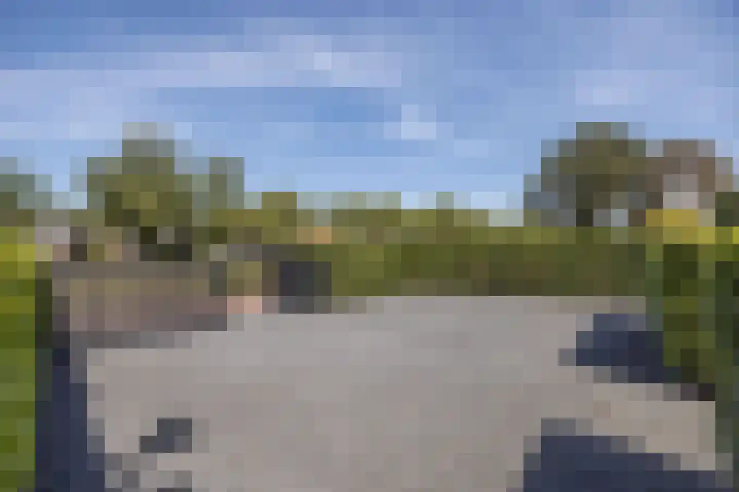 Zandvoortselaan 210 Bentveld thumbnail 84