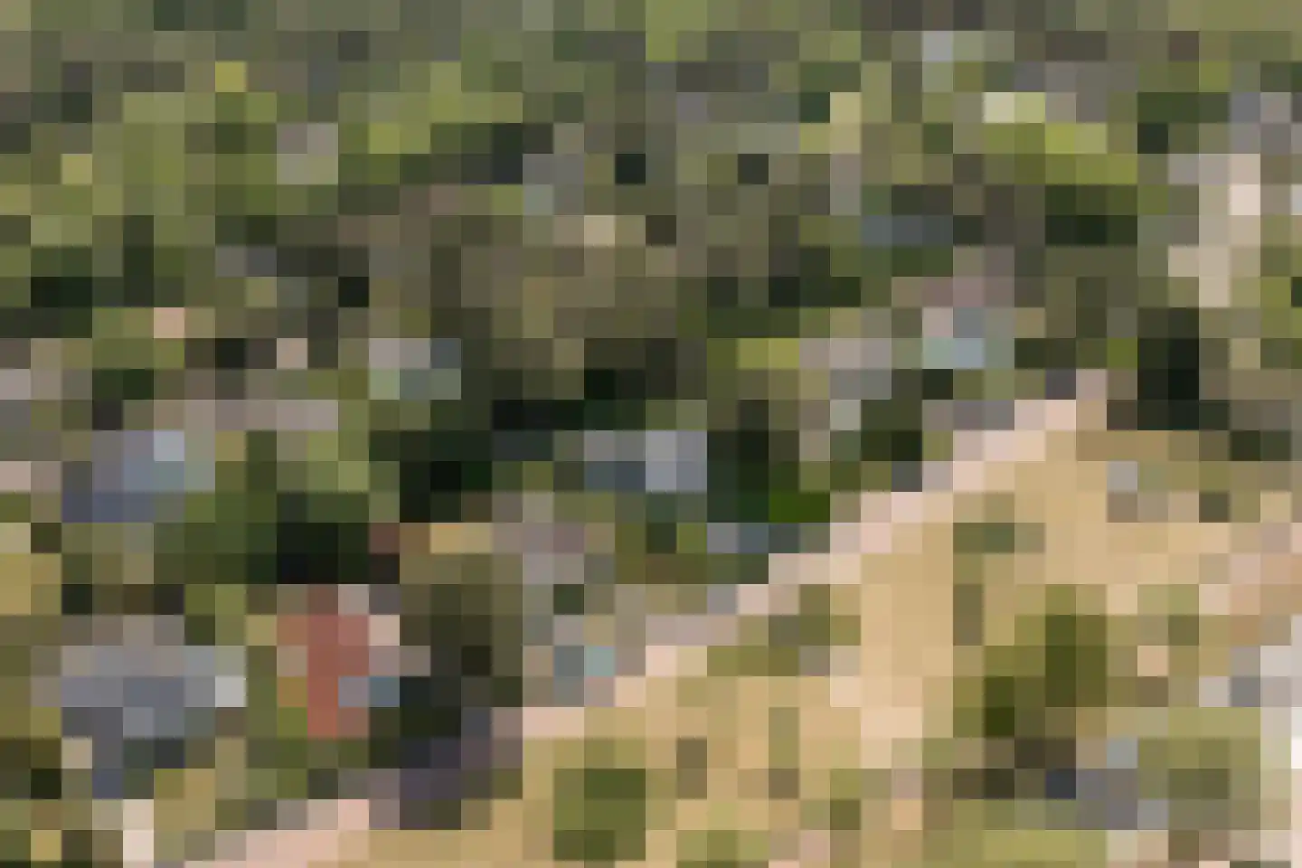 Zandvoortselaan 210 Bentveld thumbnail 87