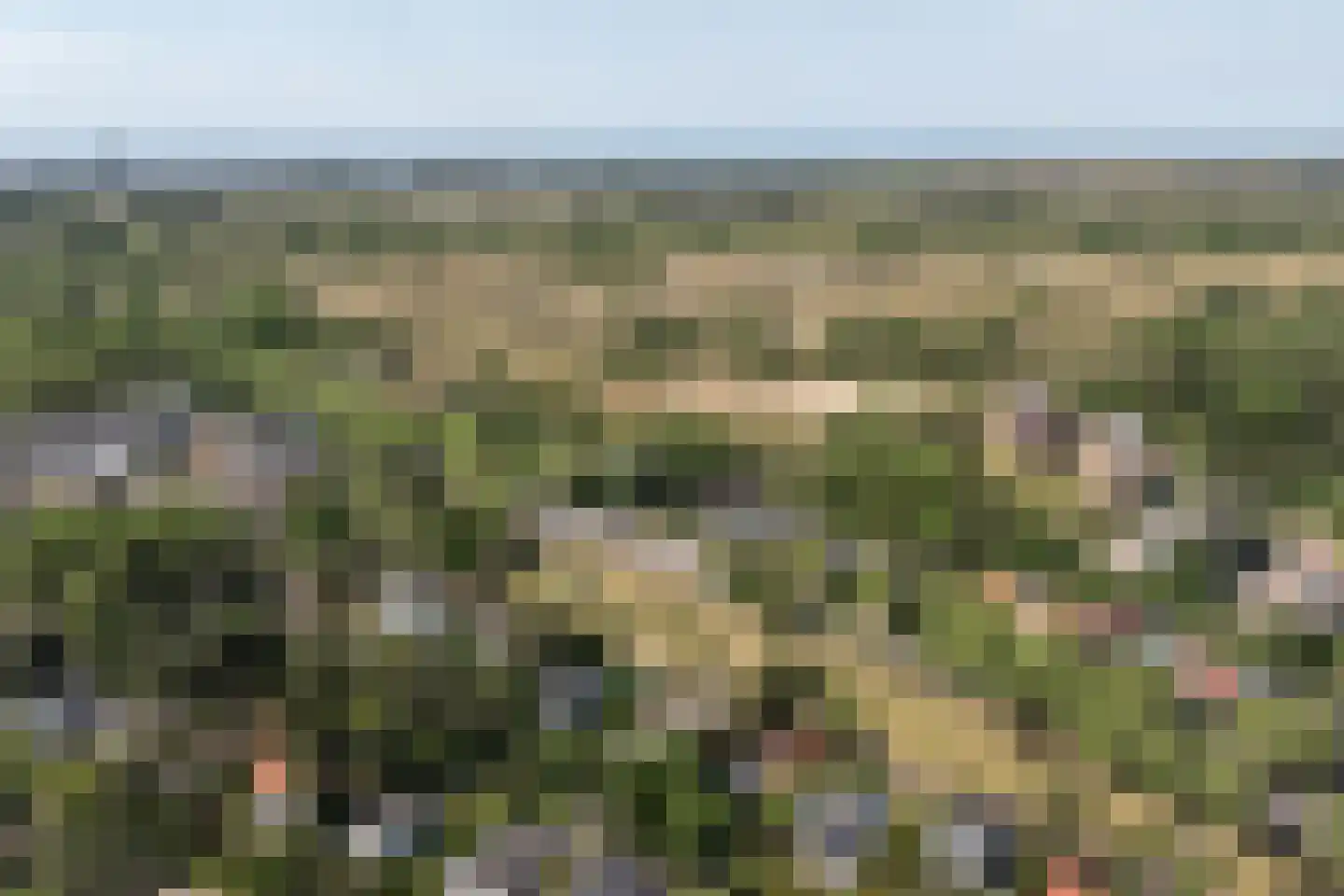 Zandvoortselaan 210 Bentveld thumbnail 88