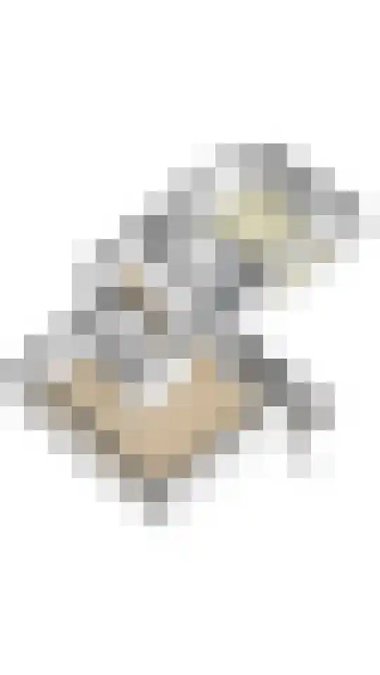 Zandvoortselaan 210 Bentveld thumbnail 94