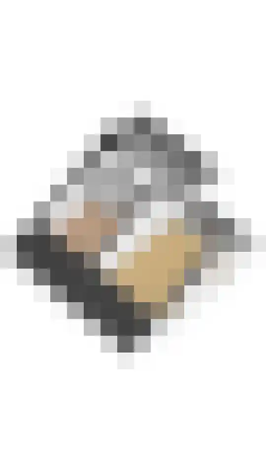 Zandvoortselaan 210 Bentveld thumbnail 95