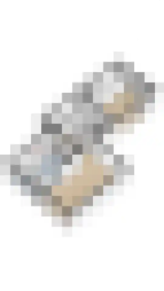Zandvoortselaan 210 Bentveld thumbnail 96
