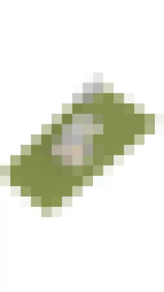 Zandvoortselaan 210 Bentveld thumbnail 98
