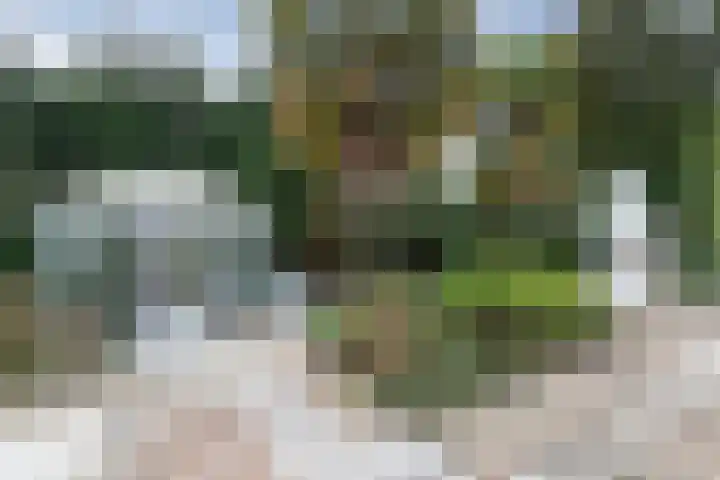 Zandvoortselaan 216 Bentveld thumbnail 20