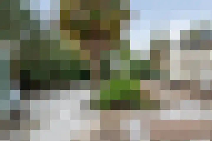Zandvoortselaan 216 Bentveld thumbnail 21