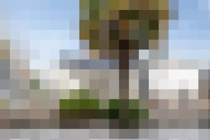 Zandvoortselaan 216 Bentveld thumbnail 22