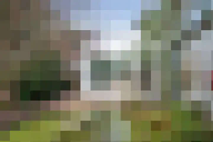 Zandvoortselaan 216 Bentveld thumbnail 23
