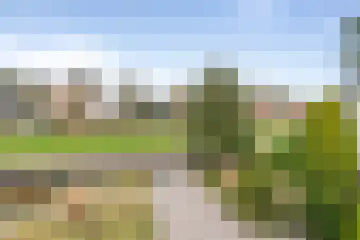 Zandvoortselaan 216 Bentveld thumbnail 33
