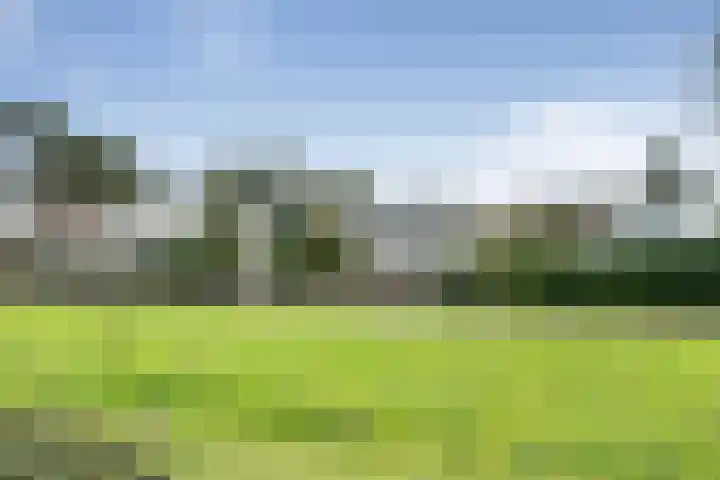 Zandvoortselaan 216 Bentveld thumbnail 36