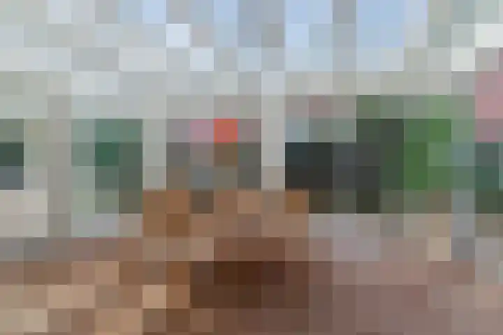 Zandvoortselaan 216 Bentveld thumbnail 6