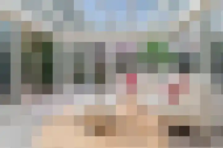 Zandvoortselaan 216 Bentveld thumbnail 8